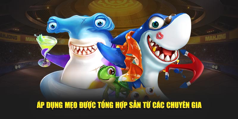 ap-dung-meo-duoc-tong-hop-san-tu-cac-chuyen-gia