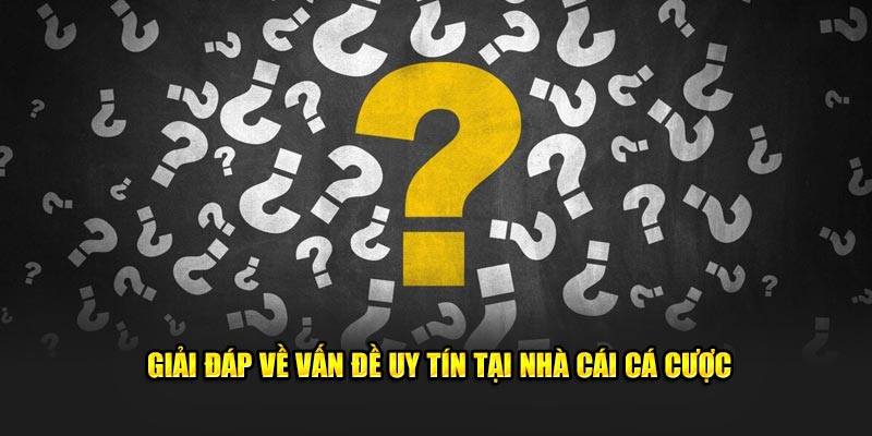 giai-dap-ve-van-de-uy-tin-tai-nha-cai-ca-cuoc