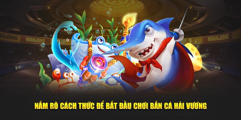 nam-ro-cach-thuc-de-bat-dau-choi-ban-ca-hai-vuong